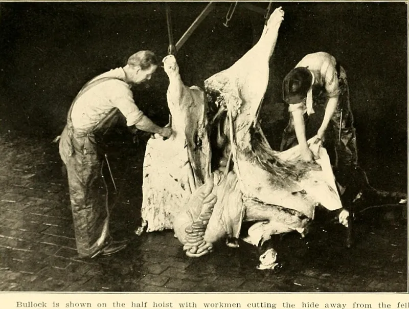 The Tannery Decides: Understanding Chrome and Vegetable Tanning Before You Spend a Penny